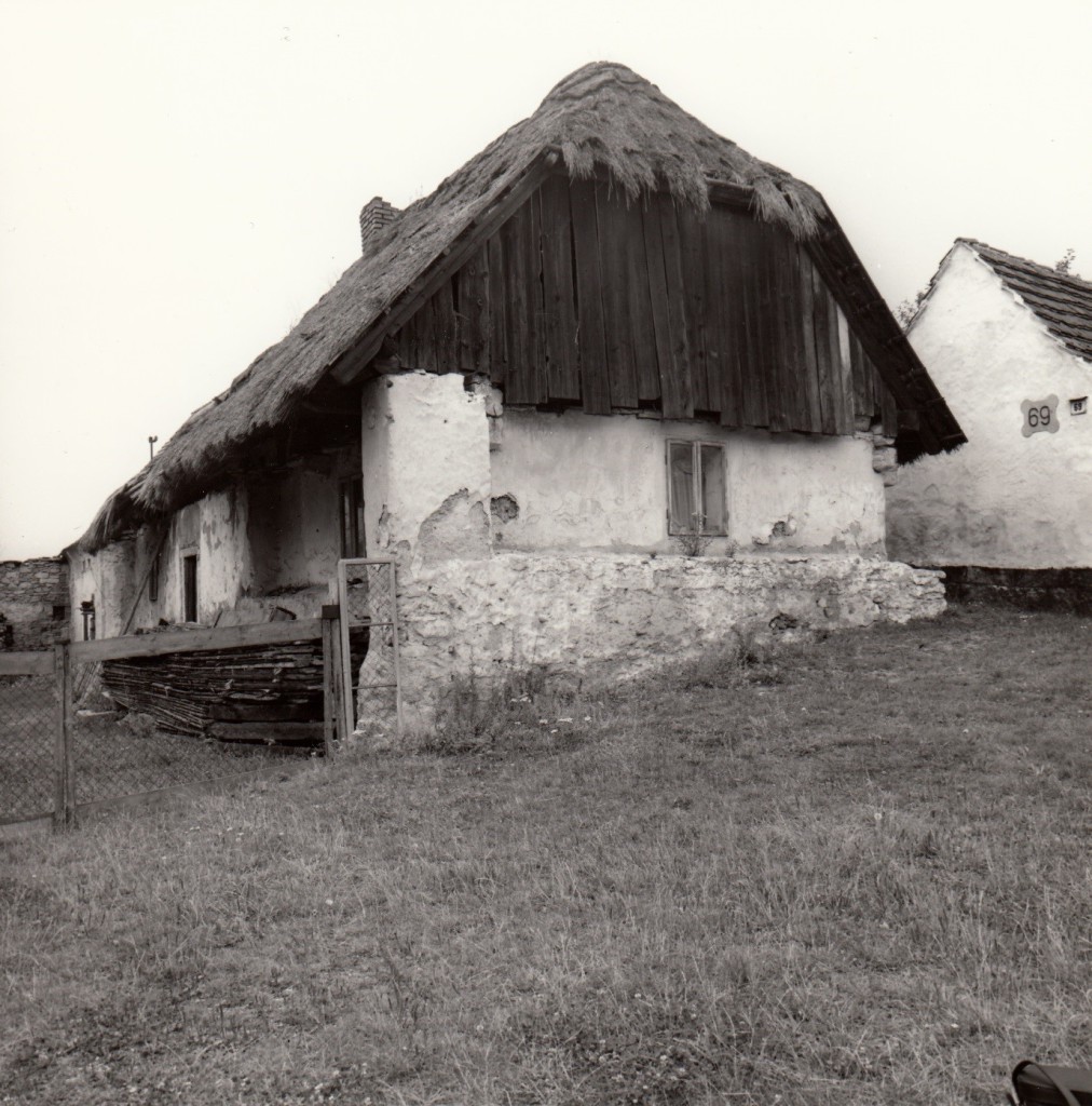 Původní dům č. p. 70 ve Velkém Boru, fotografie z 80. let 20. století.