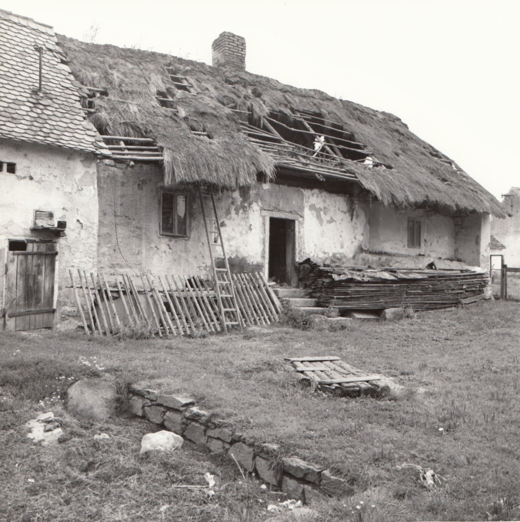 Dvůr objektu s patrným hnojištěm a studnou z roku 1811 (zakrytá dřevem), foto z přelomu 80. a 90. let minulého století před demolicí.